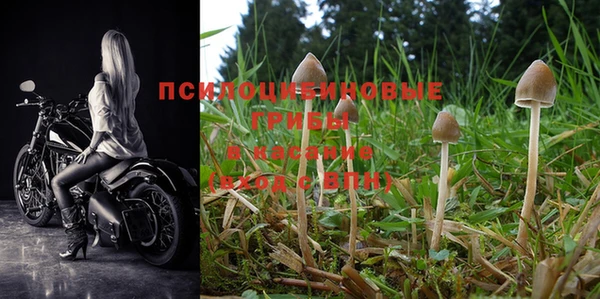 PSILOCYBIN Алексеевка
