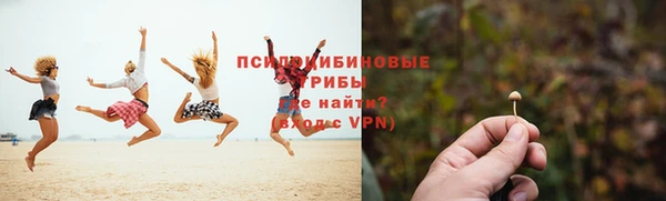PSILOCYBIN Алексеевка