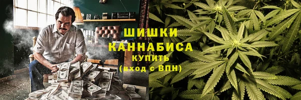 МДПВ Алзамай