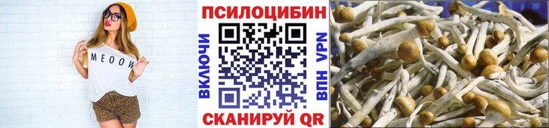 где найти Лесосибирск Галлюциногенные грибы Psilocybe