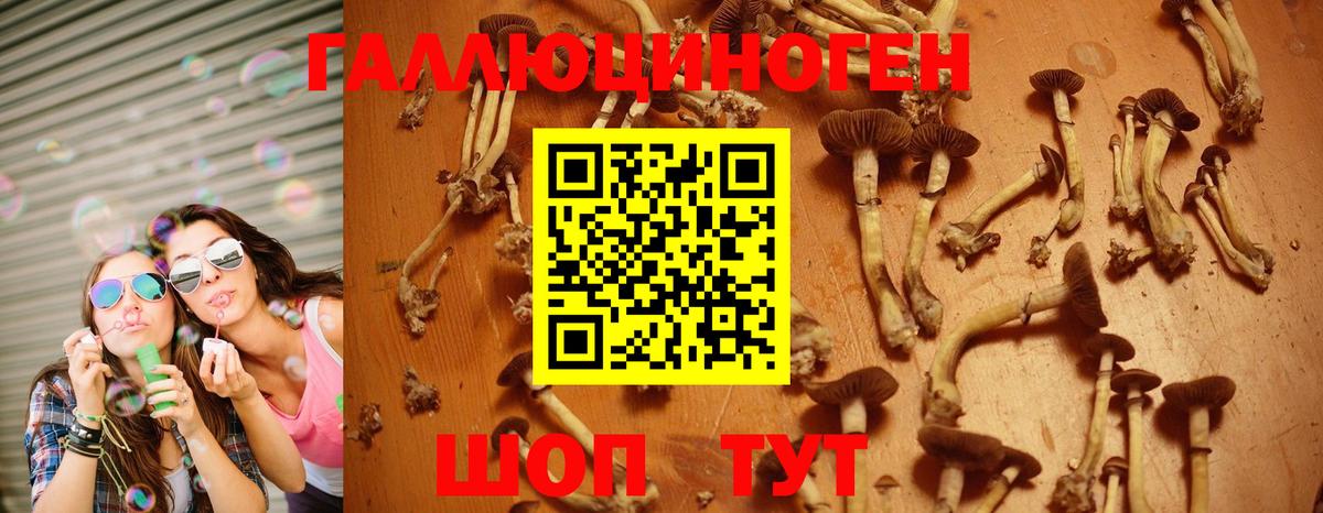 Псилоцибиновые грибы ЛСД Лесосибирск
