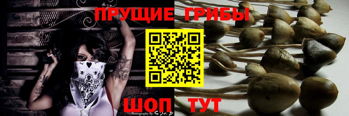 Галлюциногенные грибы MAGIC MUSHROOMS  Вход с VPN  Лесосибирск  закладка  Псилоцибиновые грибы ЛСД 