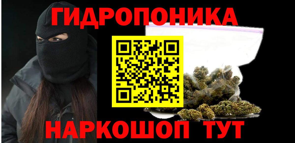 Канабис семена Лесосибирск